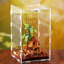 Spinnen Terrarium, Reptile