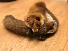 Echtfell Fuchs-Stola, sehr weich und schönes Muster