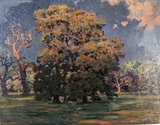 Dessau, Alte Eiche im Luisium