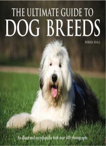 The ultimate guide dog - guide,
