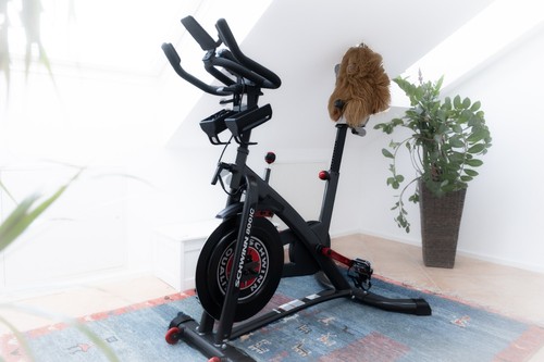 Schwinn speedbike 800ic indoor - schwinn,