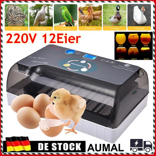 Eier inkubator - 12,