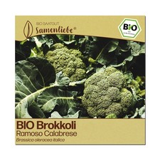 Brokkoli Samen Gemüsesamen