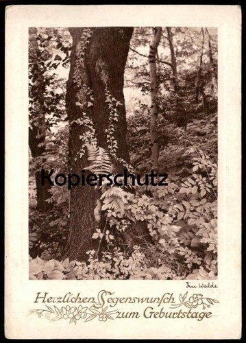 Alte postkarte walde - alte,