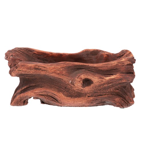 Brown cement succulent plant - cement,