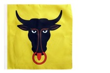 Schweiz Kanton Uri Banner schweizerische Fahnen Flaggen 30x30cm