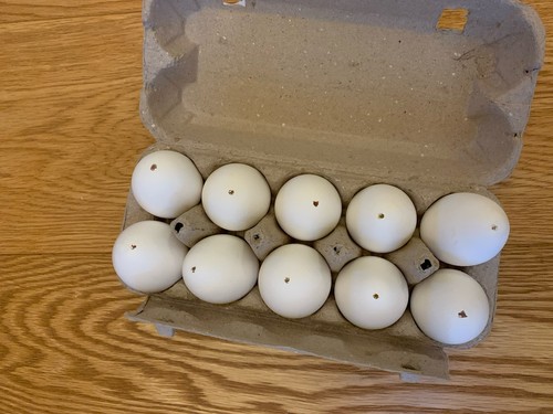 Ausgeblasene echte eier - echte,