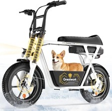 Electric Scooter with Carry