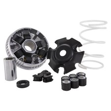 Variomatik Malossi Variator