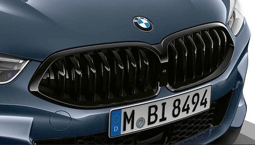 Bmw ziergitter niere - ziergitter,