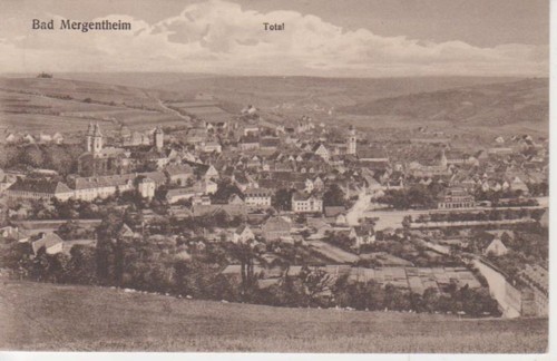 Bad mergentheim panorama - bad,