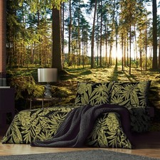 Fototapete wald sonne bäume - wald,