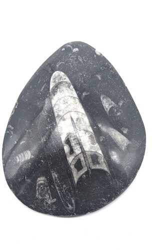 Sm0138 natürlicher - sm0138,