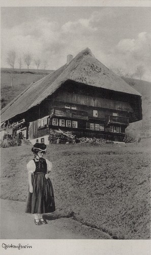 Gutach schwarzwaldhaus - ak,