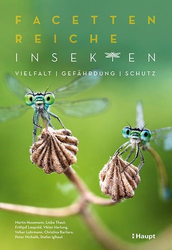 Facettenreiche insekten - insekten,