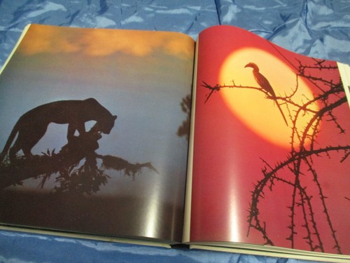 Lange tierfotografie - h., ,