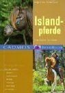 Islandpferde eine kleine - islandpferde:,