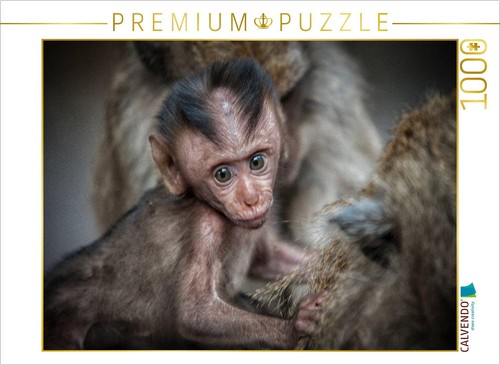 Calvendo puzzle makake 1000 - |,