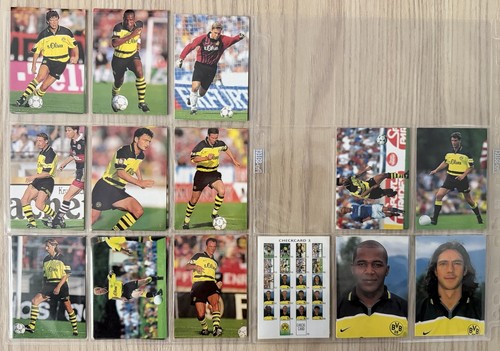 Panini borussia dortmund bvb - -,