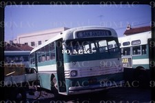 SB TRANSIT Co. FORD TRANSIT