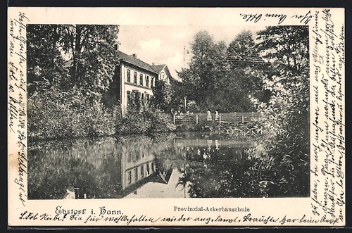 Ebstorf hann - i.,