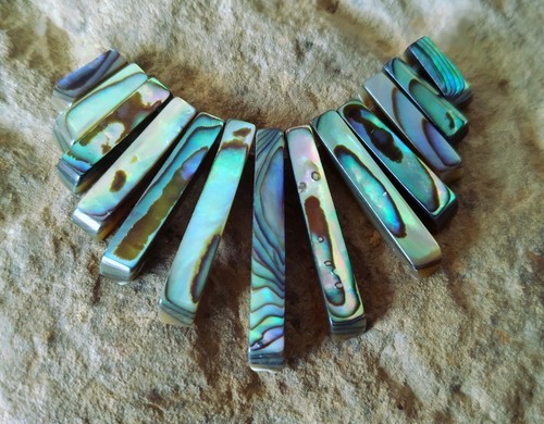 Abalone - (paua, /
