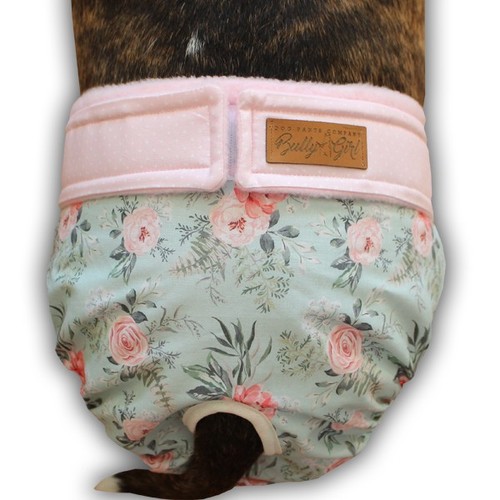 Läufigkeitshose hund nach - hund,