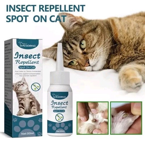 Hunde katzen anti - katzen,