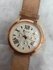 Fossil cecile am4532 - cecile,