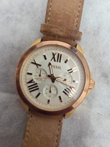 Fossil cecile am4532 - fossil,