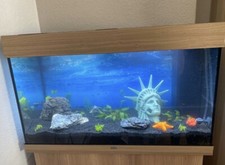 Aquarium juwel rio 125 mit - 125,