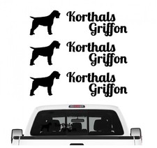Korthals Griffon Holländer
