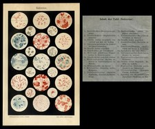 Original Lithographie