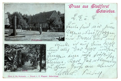 1899 gruss aus stadtforst - ak,,