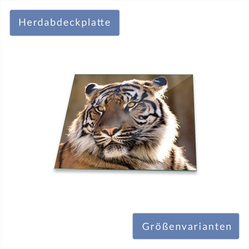 Herdabdeckplatte abdeckung - herdabdeckplatte,