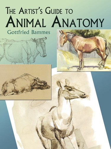 The artist guide animal - to,