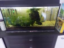 Juwel Aquarium gebraucht 