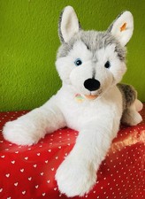 Steiff Studio Hund——Husky——Bernie——K/F——80cm——selten         🦋 ☘️ 🌻💚🍎🦋