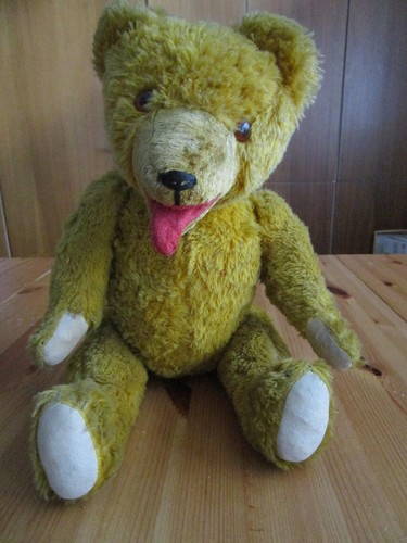 Sammler teddybär 1955 ddr - sammler,