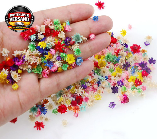 Mini trockenblumen bastelset - mini-trockenblumen,