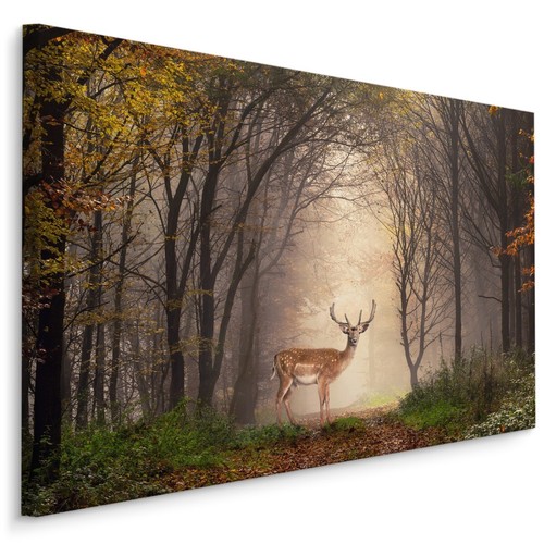 Canvas leinwand bilder xxl - leinwand,