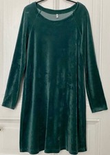 Samt Kleid Grün