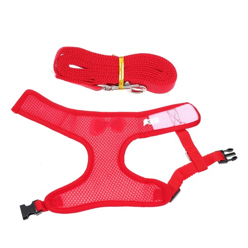 Satz haustier hahn - 1,