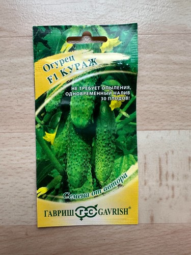 Gurkensamen kurazh - gurkensamen,