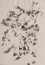 Gerhard Schulte-Dahling Studie