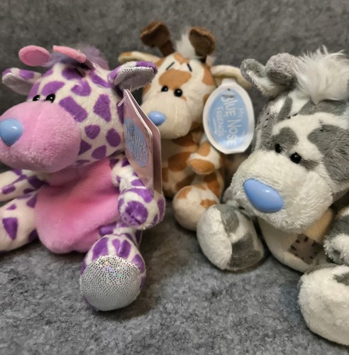 Blue nose friends giraffe - my,