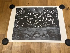 Gerhard Richter - Vögel -