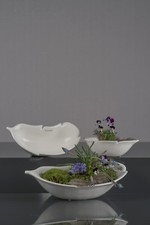 VALENTINO  WOHNIDEEN  SCHALE