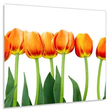 Küchenrückwand Spritzschutz