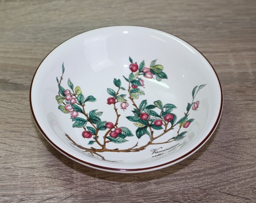 Villeroy boch b - boch, botanica